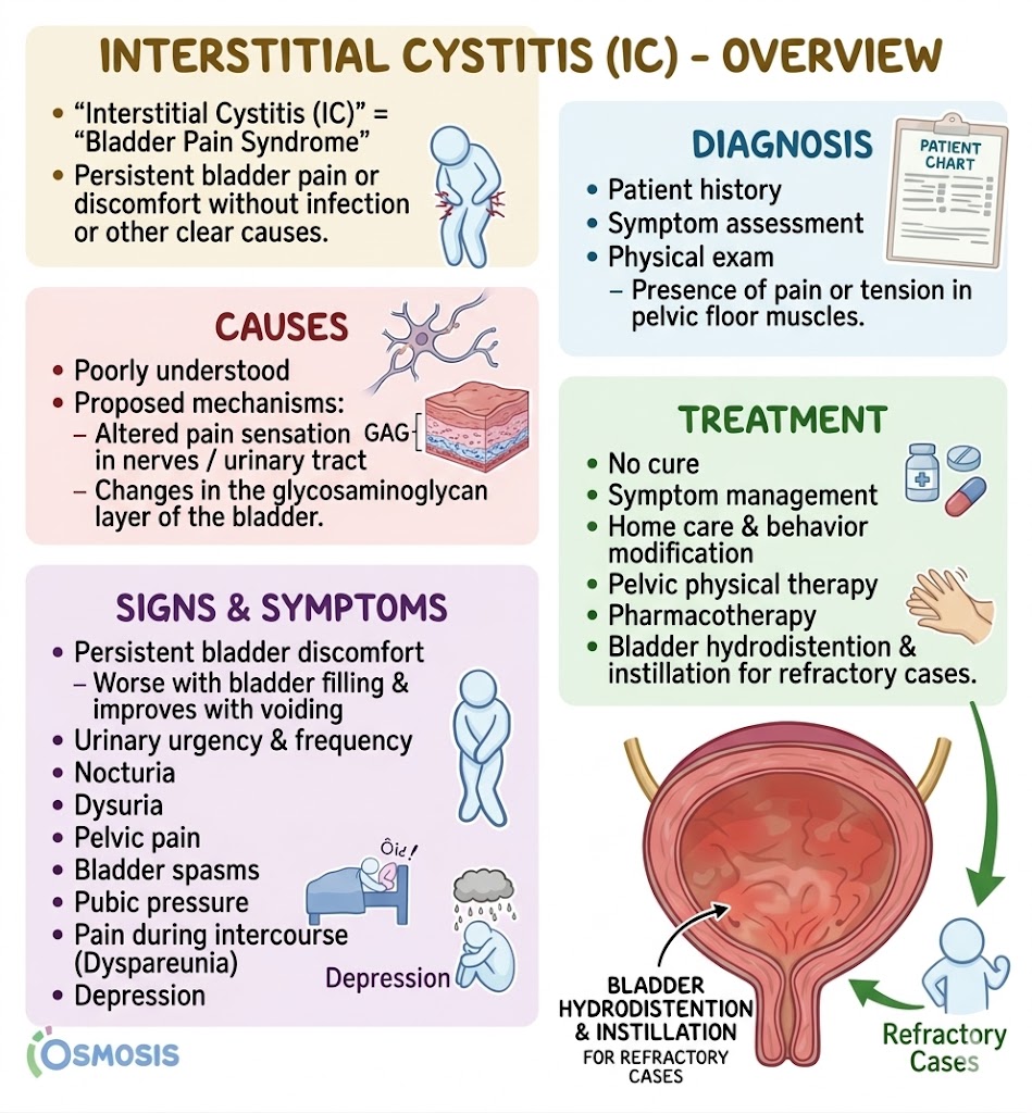 Cystitis Damage What Is Acute Cystitis? Understanding Sudden Bladder Inflammation