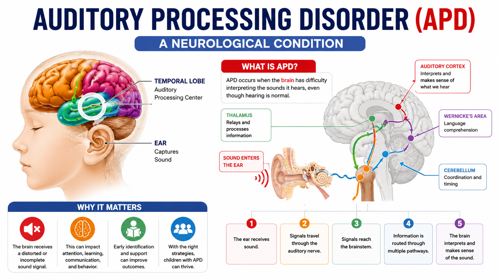 What is Auditory Processing Disorder (APD)? How to Recognize the Signs ...