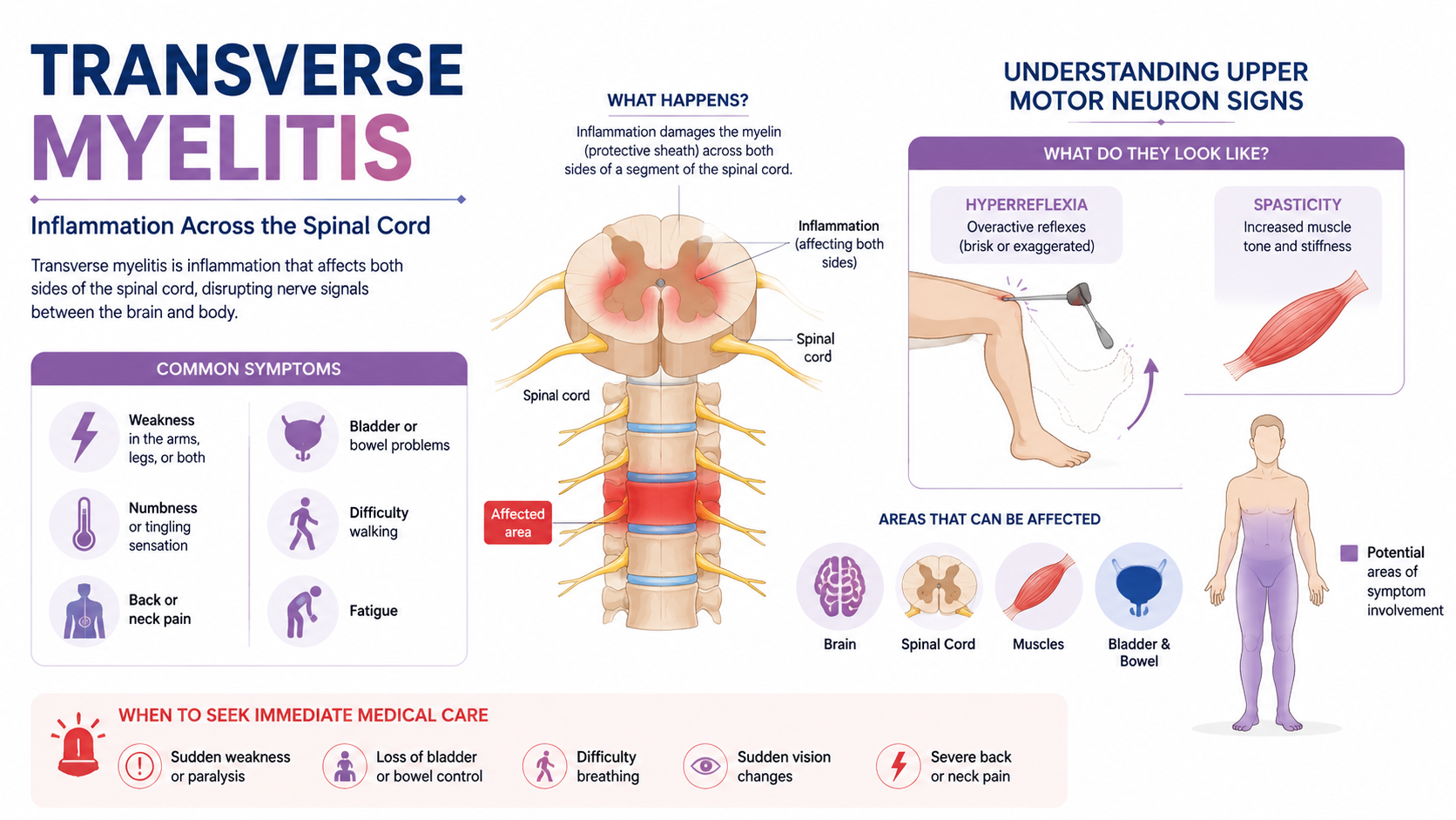 Hyperreflexia Symptoms: Identifying Overactive Reflexes and ...